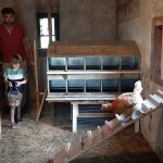 Collecte des oeufs- La ferme de La Gardiolle