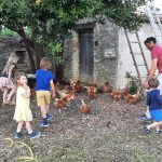 Les poules et les enfants - La ferme de La Gardiolle
